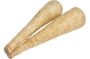 Pastinaken grof